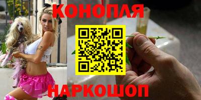 jwh Ставрополь