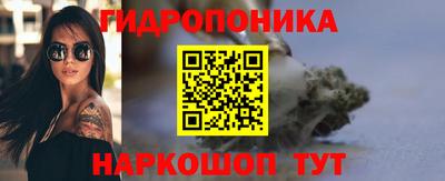 шишки Татарск
