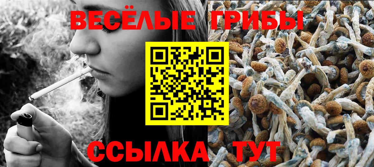 Сокол  наркошоп  Вход с VPN  Галлюциногенные грибы MAGIC MUSHROOMS 