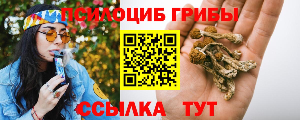 Галлюциногенные грибы GOLDEN TEACHER Сокол